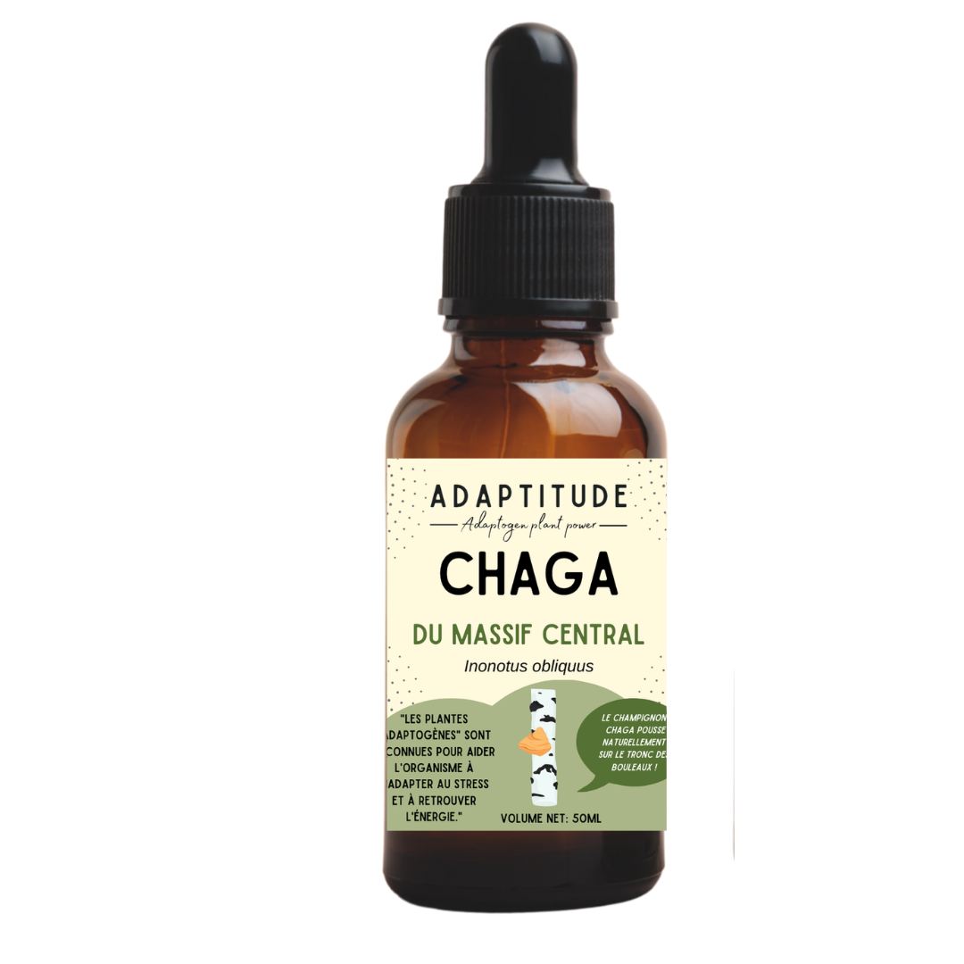 Extrait de Chaga du Massif Central (50ml)