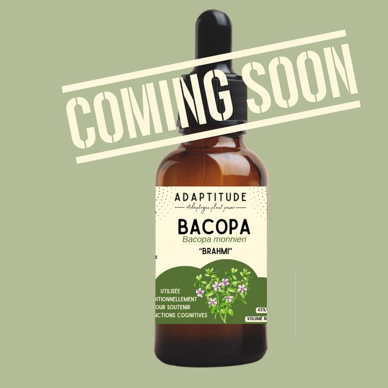 Extrait de Bacopa (Brahmi) local (50ml)