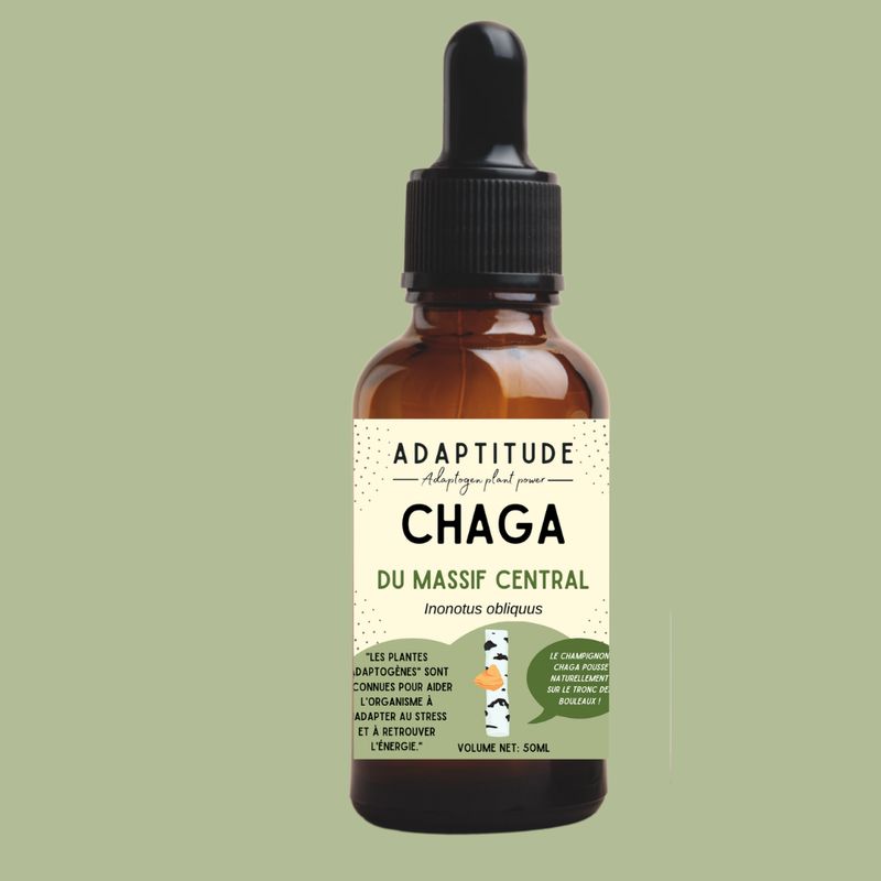Extrait de Chaga Bio (50ml)