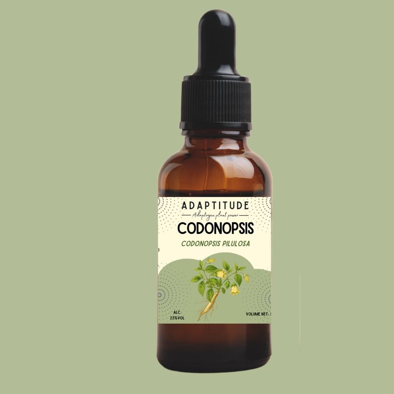 Extrait de Codonopsis (50ml)