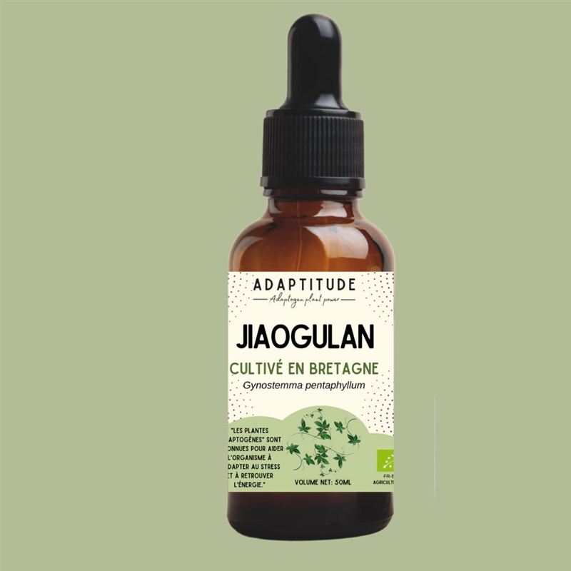 Extrait de Jiaogulan local (50ml)
