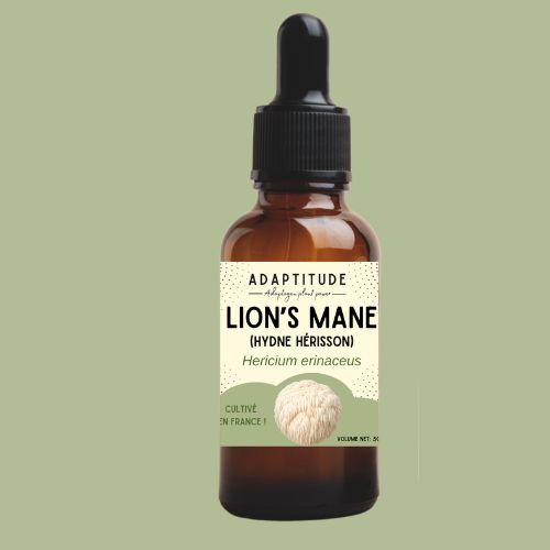 Extrait de Lion's mane (50ml)