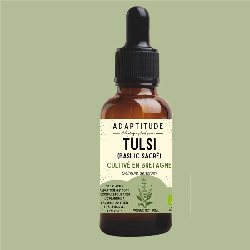 Extrait de Tulsi bio & local (50ml)